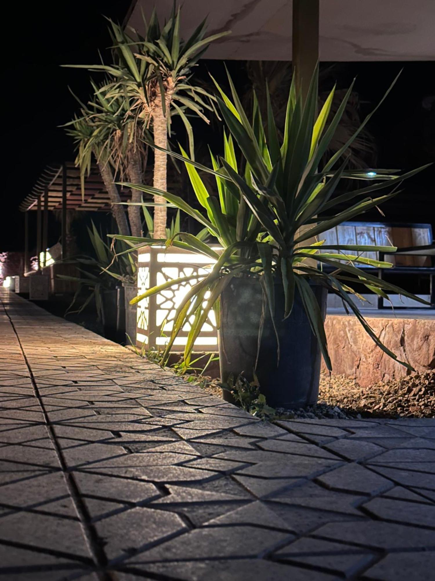 Rum Relaxation Luxury Camp Вади-Рам Экстерьер фото